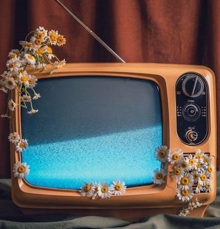 flint tv guide