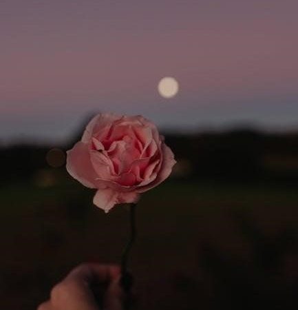 killers of the flower moon screenplay pdf