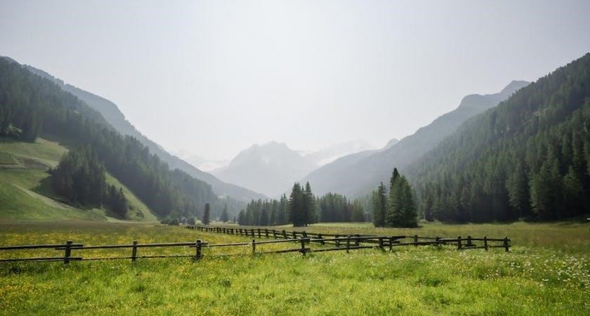 alps guides