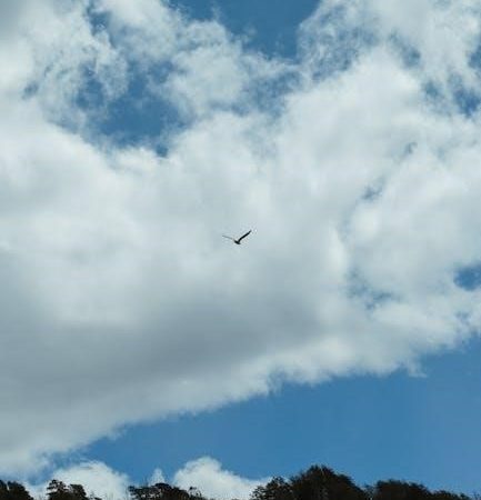 when breath becomes air free pdf